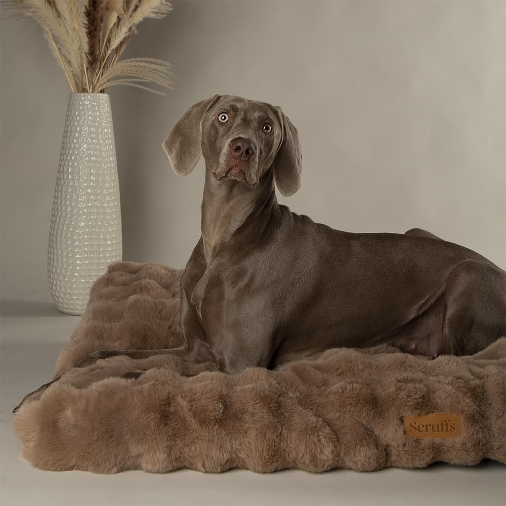 Scruffs Luxury Alpine Box Bed For Dogs or Cats (M)
