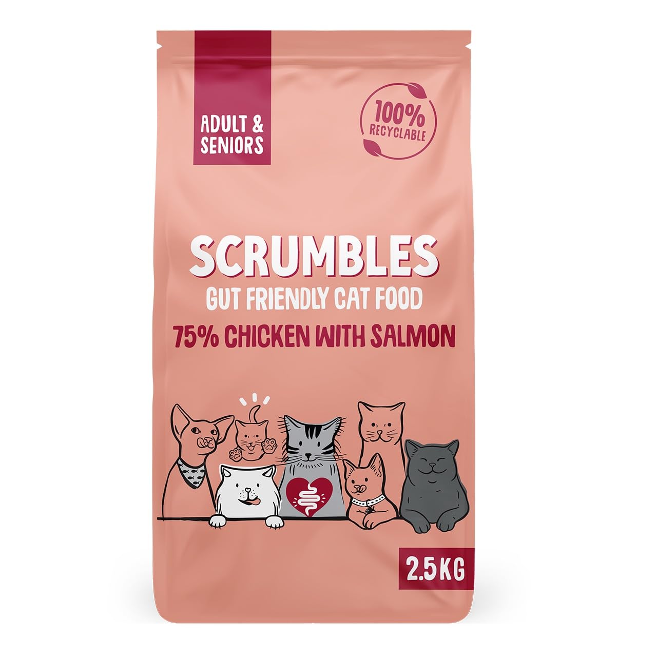 Scrumbles All Natural Dry Cat Food With 75% Chicken and Fresh Salmon, High Protein Food for Adults And Seniors