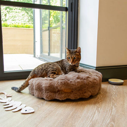 Scruffs Luxury Alpine Box Bed For Dogs or Cats (M)