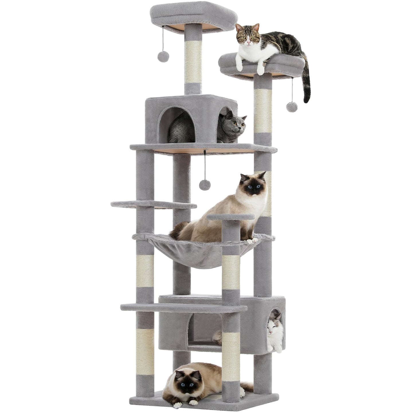 PAWZ Road Cat Tree for Large Cats, 184cm Tall Cat Tower with Large Condo