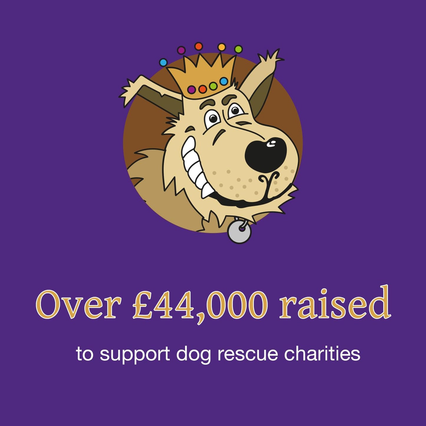 The Regal Mutt - Himalayan Yak Chew - Bag of 2 - Large