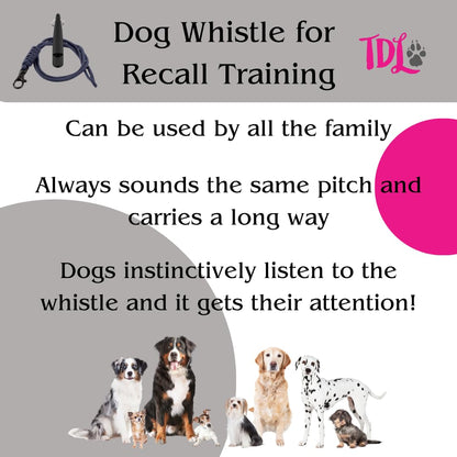 Gun Dog Training Whistle with Lanyard