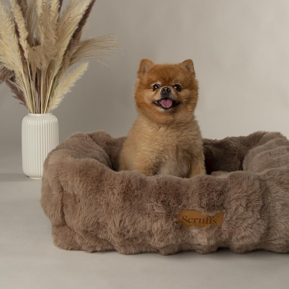 Scruffs Luxury Alpine Box Bed For Dogs or Cats (M)