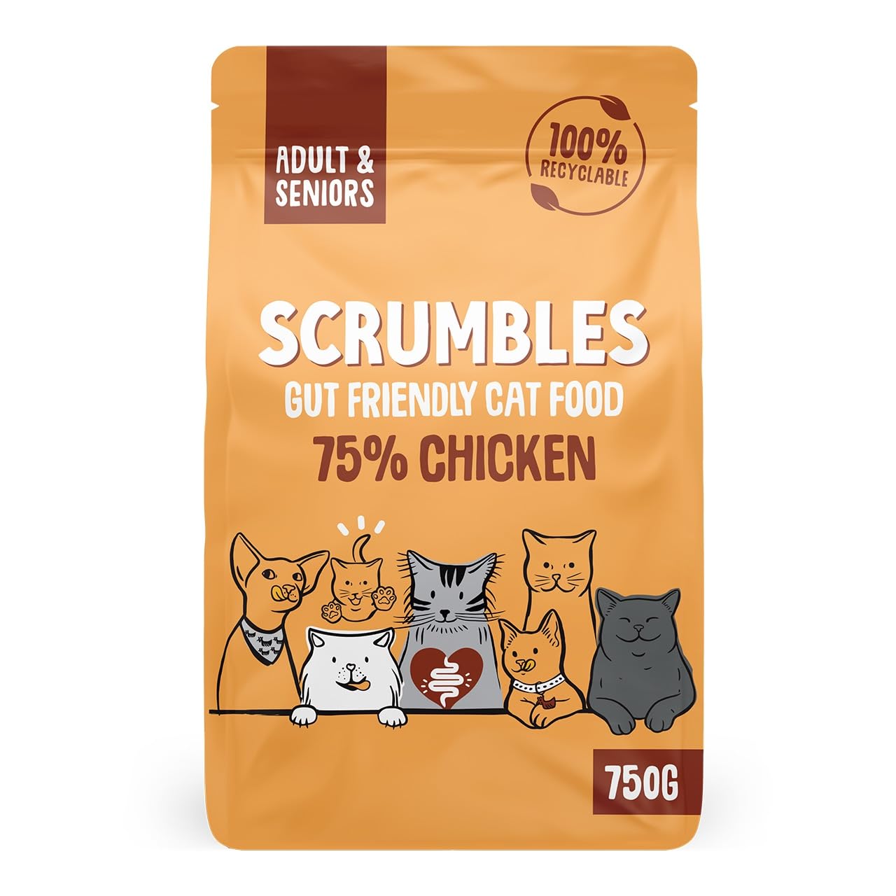 Scrumbles All Natural Dry Cat Food With 75% Chicken and Fresh Salmon, High Protein Food for Adults And Seniors
