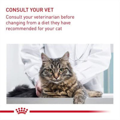 Urinary Care Cat Food 2kg