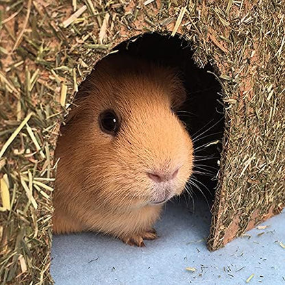 Rosewood Naturals Large Carrot Cottage for Small Animals - Edible Toy, Hay House, Den and Hideout for Rabbits, Guinea Pigs and Chinchillas