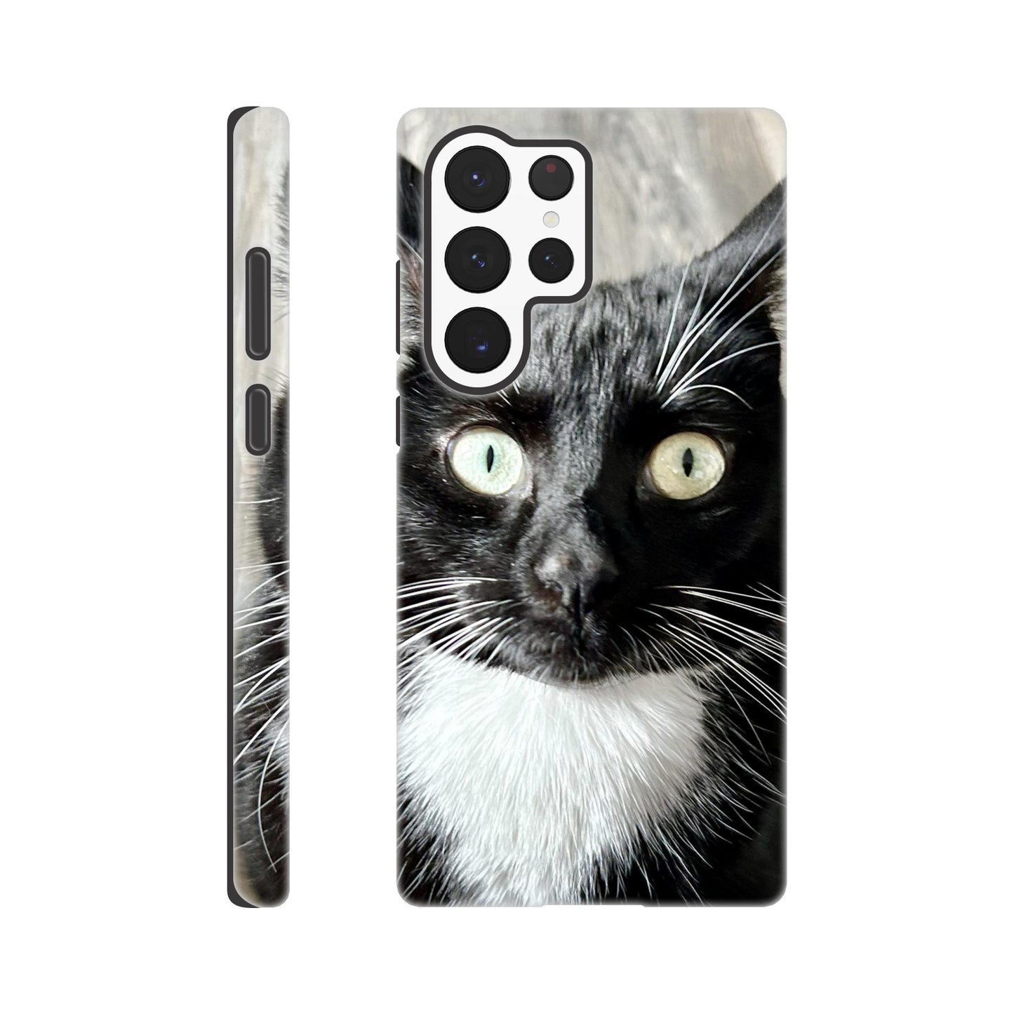 63a1fb34-d4b2-4671-b021-9a1e333f693c