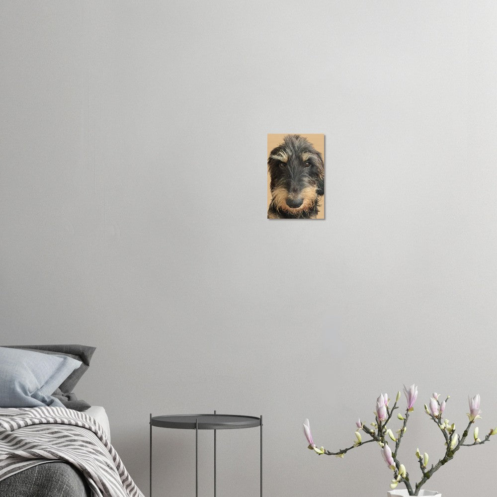 64cb0fe1-8a28-488e-9e28-9107021dd552