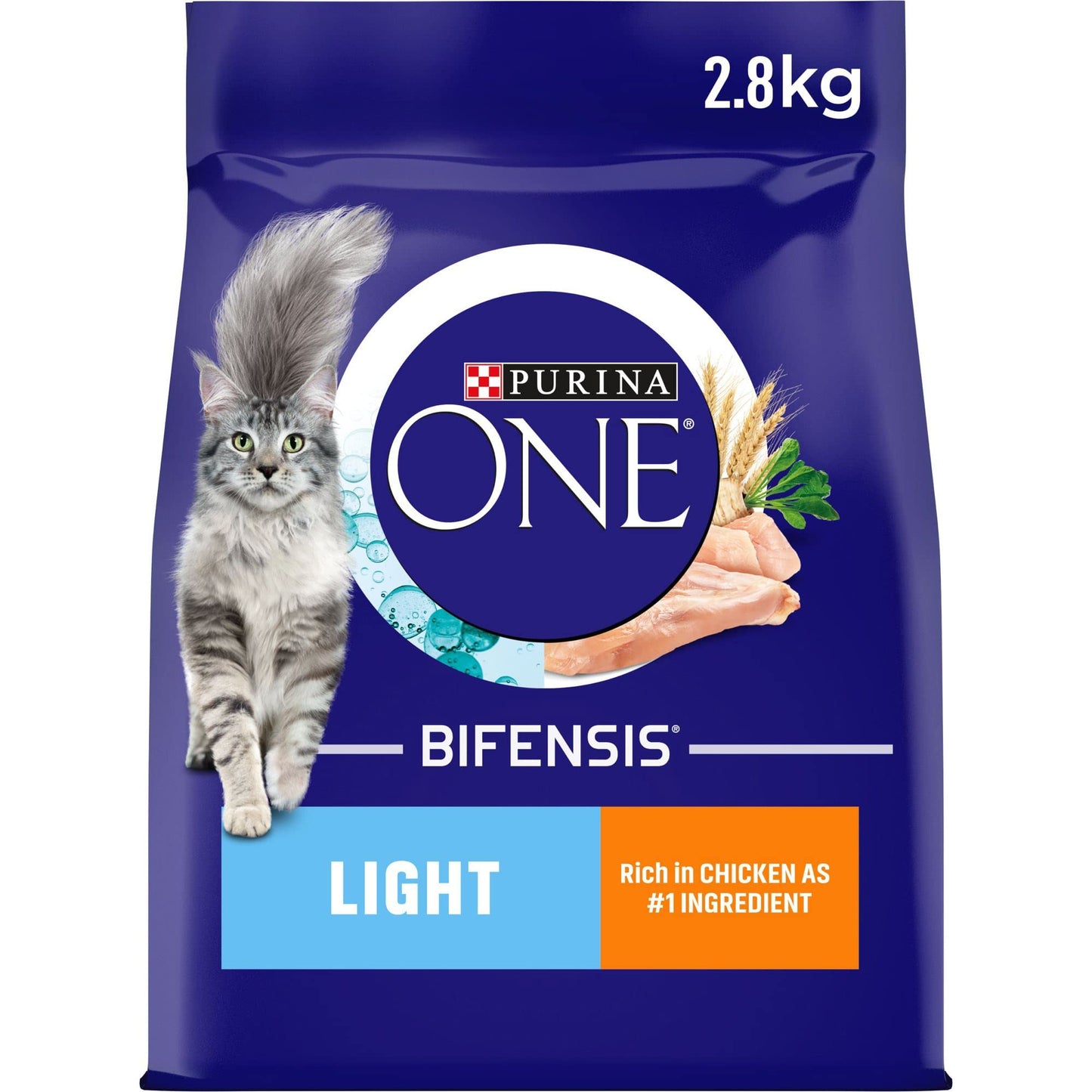 PURINA ONE | Dry Cat Food