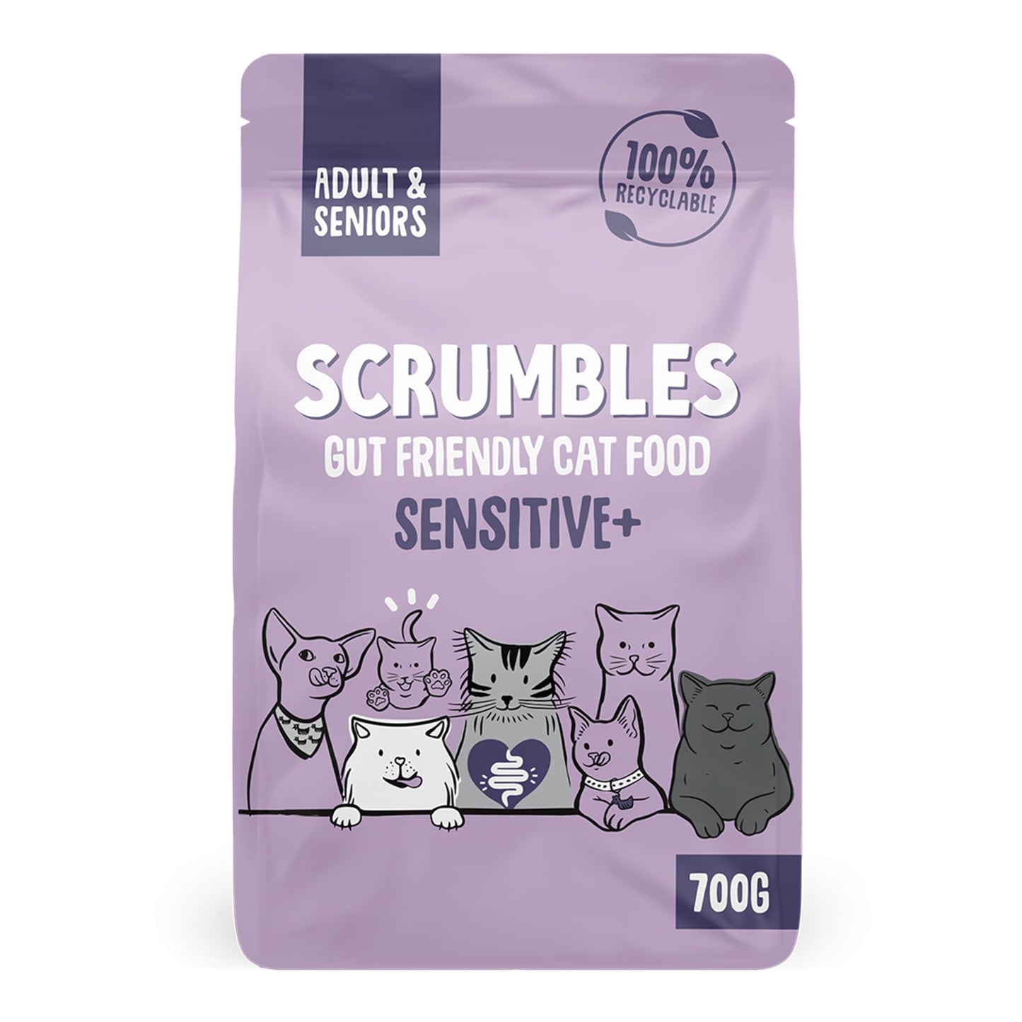 Scrumbles All Natural Dry Cat Food With 75% Chicken and Fresh Salmon, High Protein Food for Adults And Seniors
