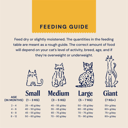 Senior Cat Superfood Complete Dry Cat Food, Turkey, 1.5kg
