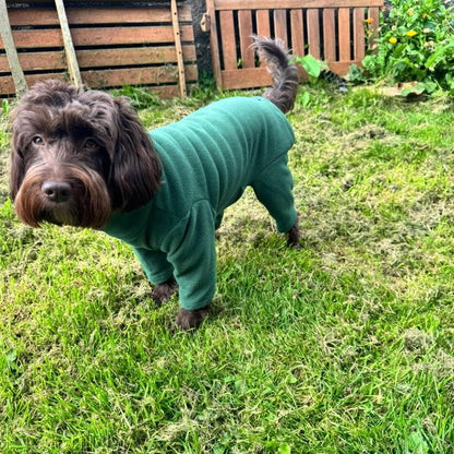 Warm Four-Legged Dog Fleece