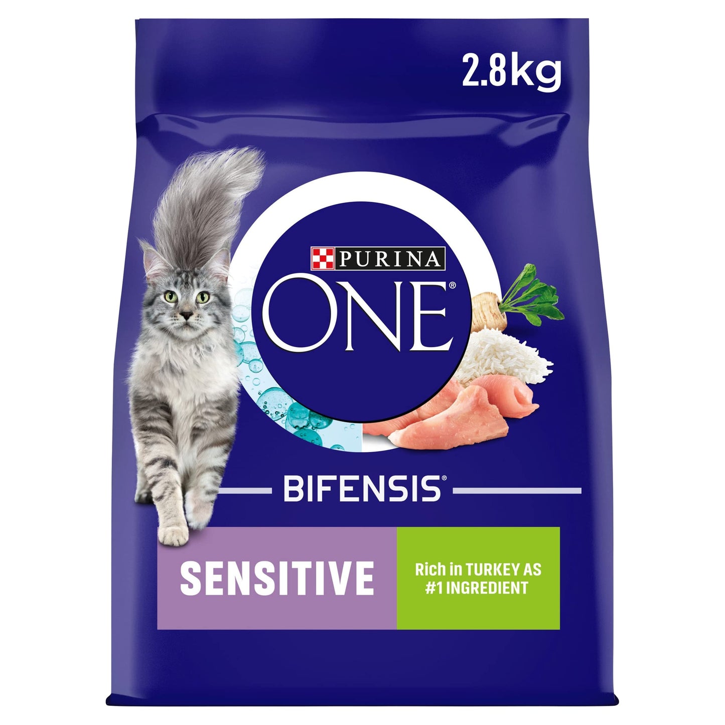 PURINA ONE Dry Cat Food