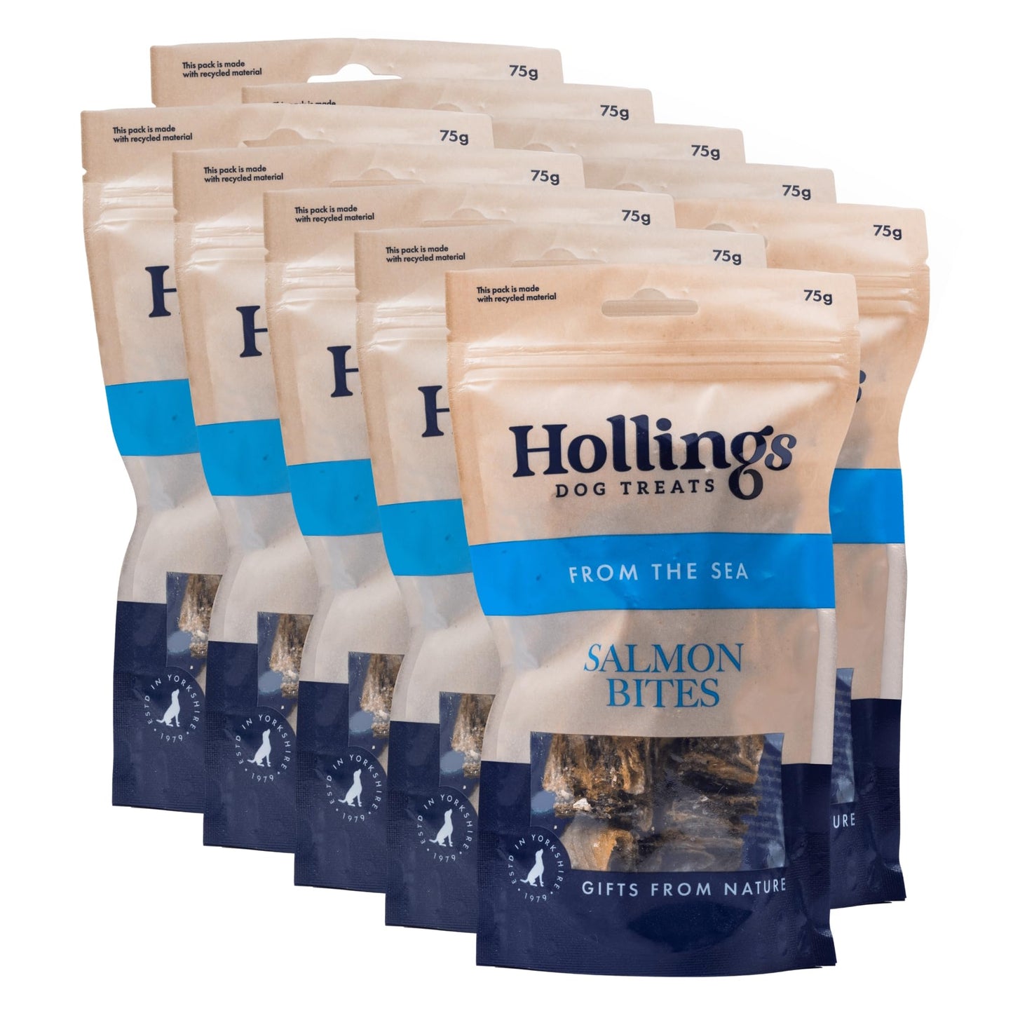 Hollings Whitefish Bites Dog Treats, 100% Natural with Fresh Fish Air Dried Healthy Treats for Dogs, Hypoallergenic and Grain Free (75g)