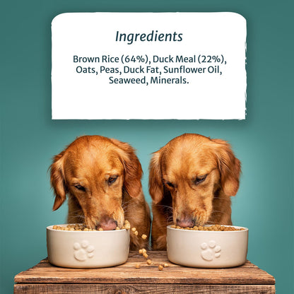 Natural Duck Hypoallergenic Dog Food