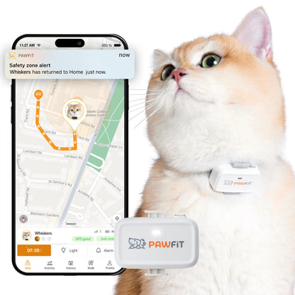 Pawfit Lite 4G GPS Cat Tracker