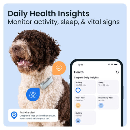 Smart Dog Tracker