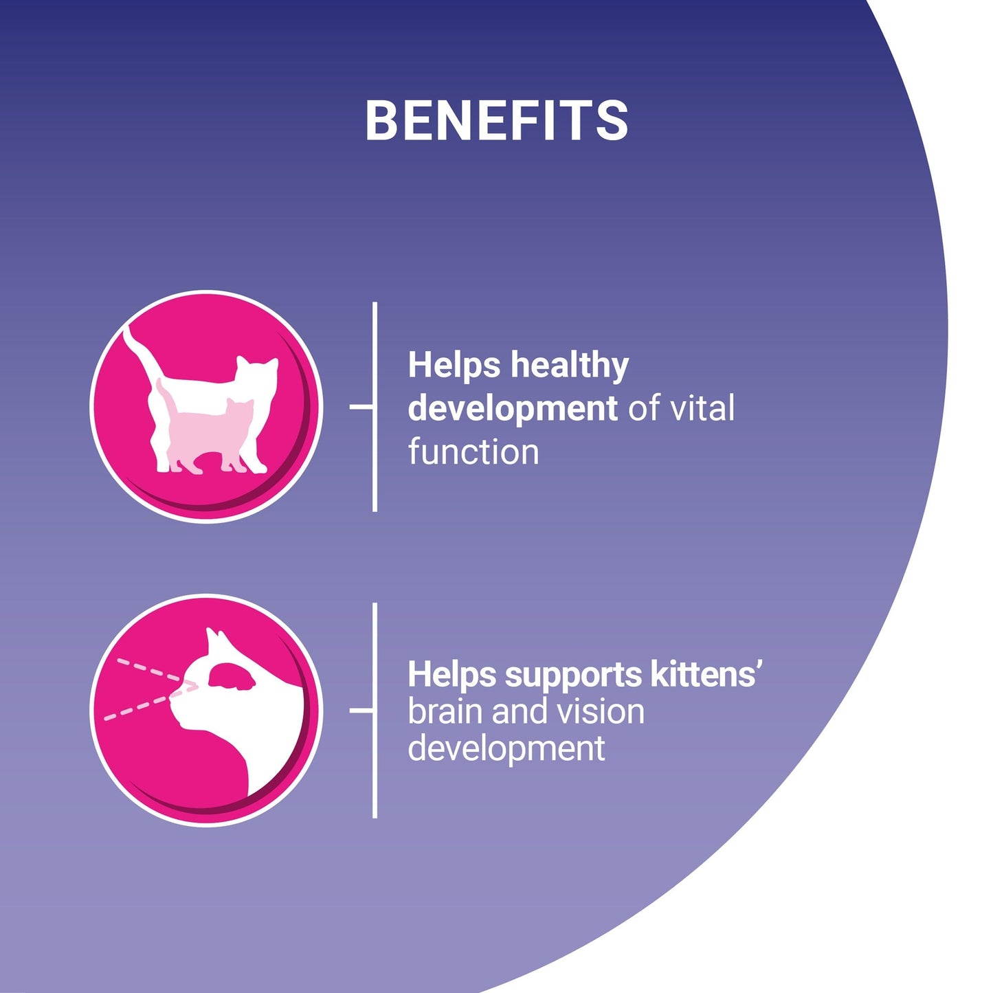 PURINA ONE | Dry Cat Food