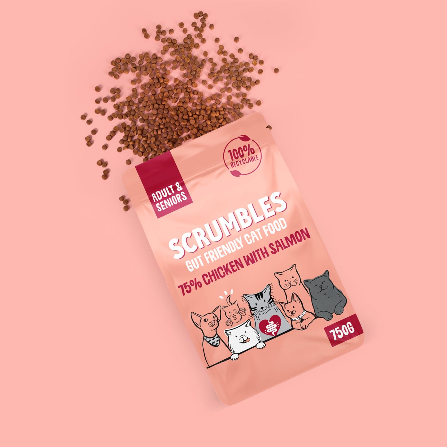 Scrumbles All Natural Dry Cat Food With 75% Chicken and Fresh Salmon, High Protein Food for Adults And Seniors