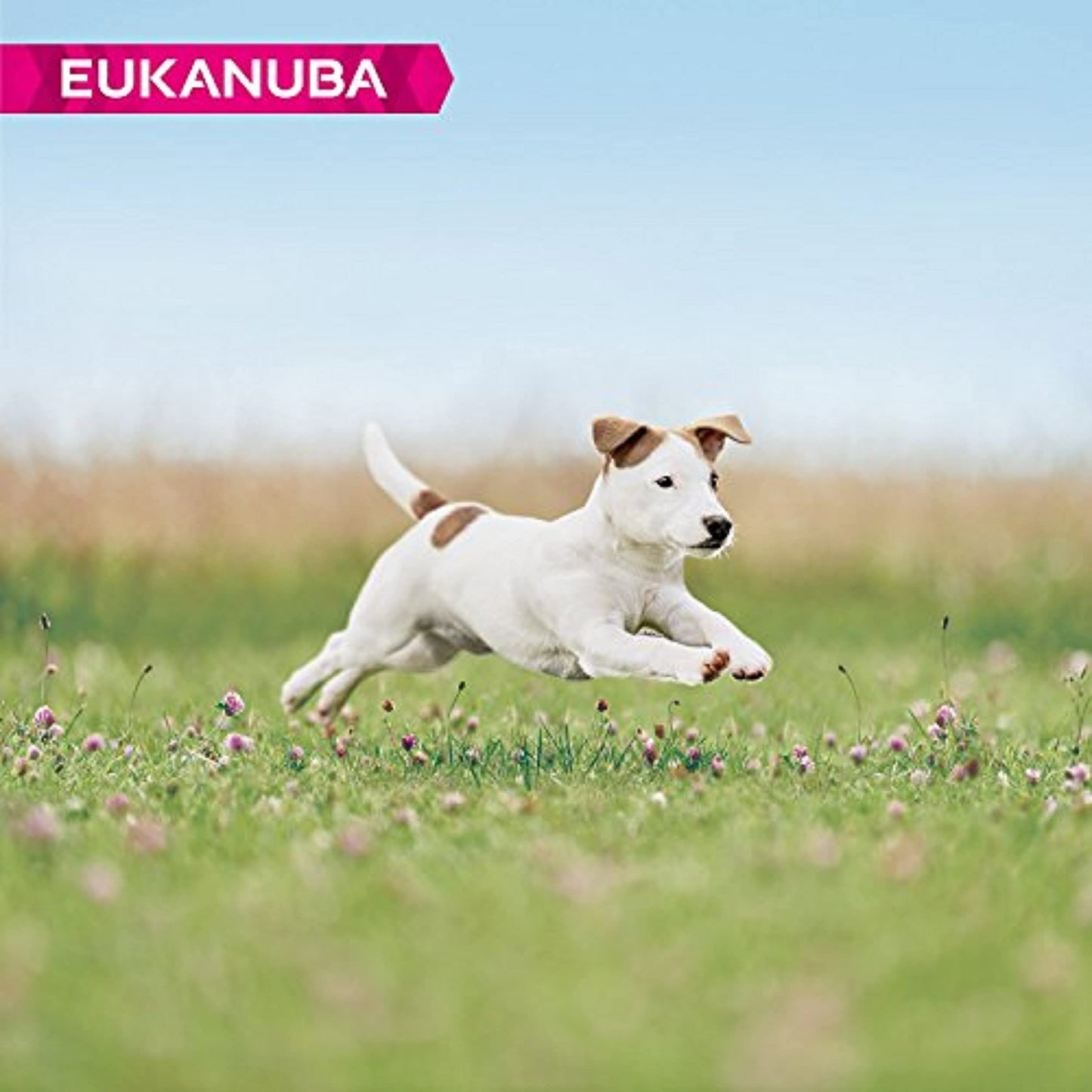 Eukanuba Grain Free Complete Dry Dog Food for Puppy Small and Medium Breeds
