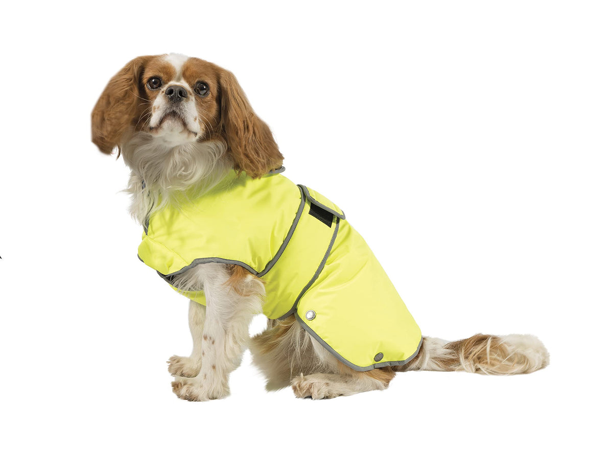 Ancol Muddy Paws All Weather Stormguard Coat . Poppy Red.Size Large ( Length 50cm, up to 79cm girth)