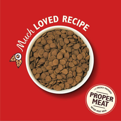 Natural Adult Dry Dog Food Beef Stew with Ancient Grains 1kg