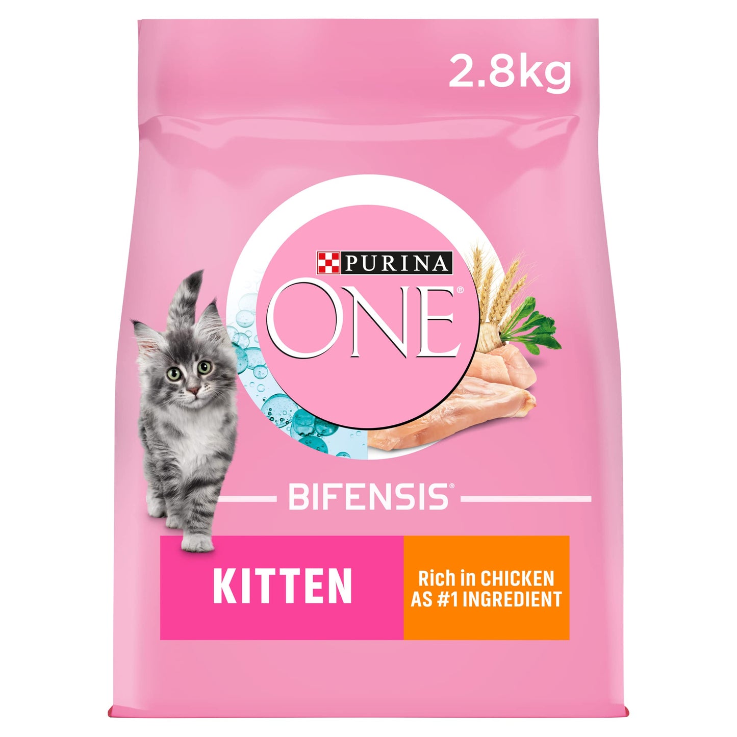 PURINA ONE Dry Cat Food