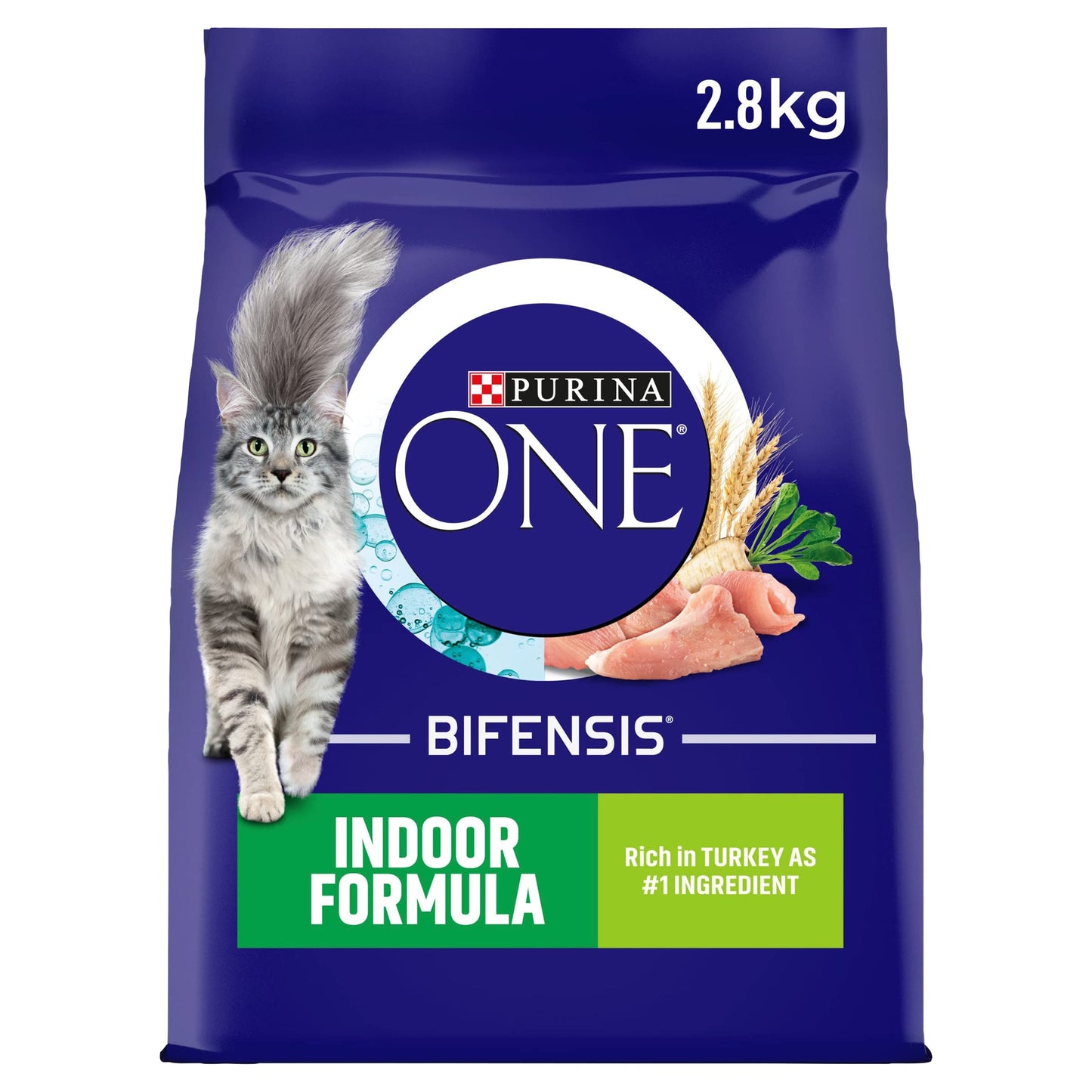 PURINA ONE Dry Cat Food
