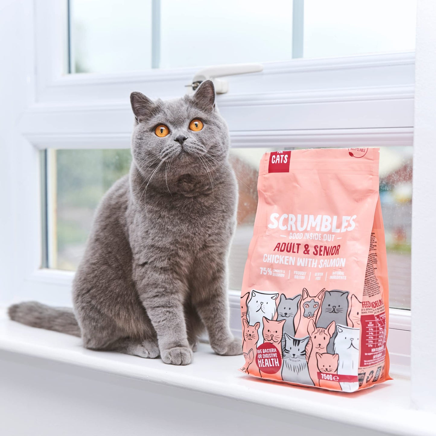 Scrumbles All Natural Dry Cat Food With 75% Chicken and Fresh Salmon, High Protein Food for Adults And Seniors