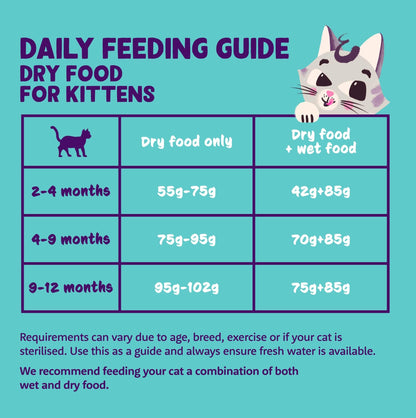 Grain Free Adult Dry Cat Food Chicken 2kg
