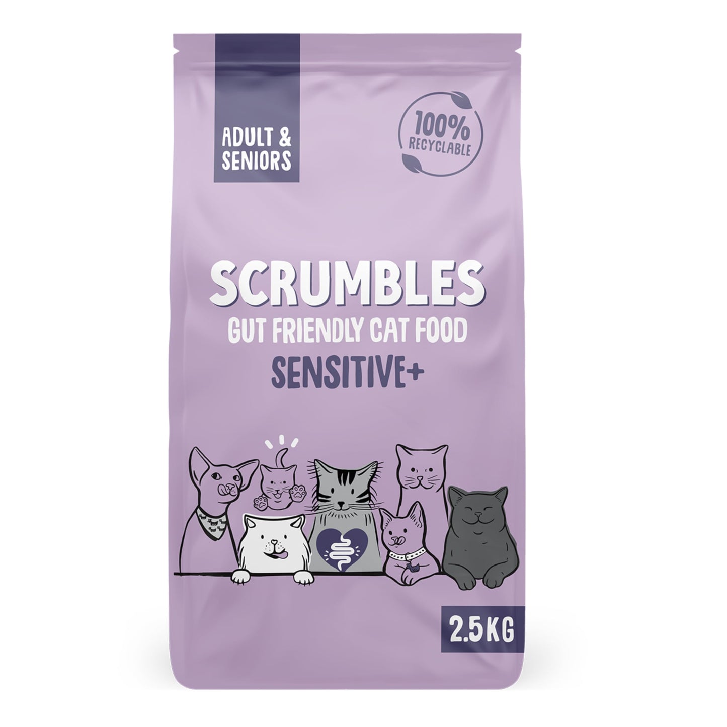 Scrumbles All Natural Dry Cat Food With 75% Chicken and Fresh Salmon, High Protein Food for Adults And Seniors