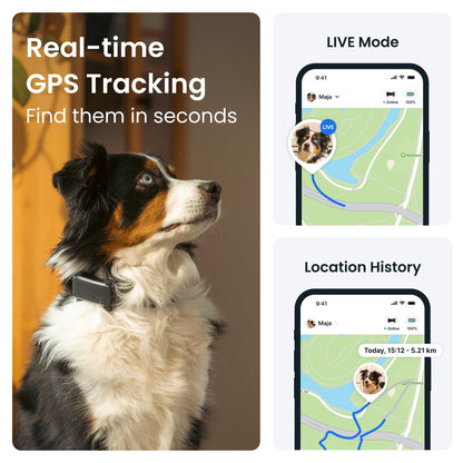 Smart Dog Tracker