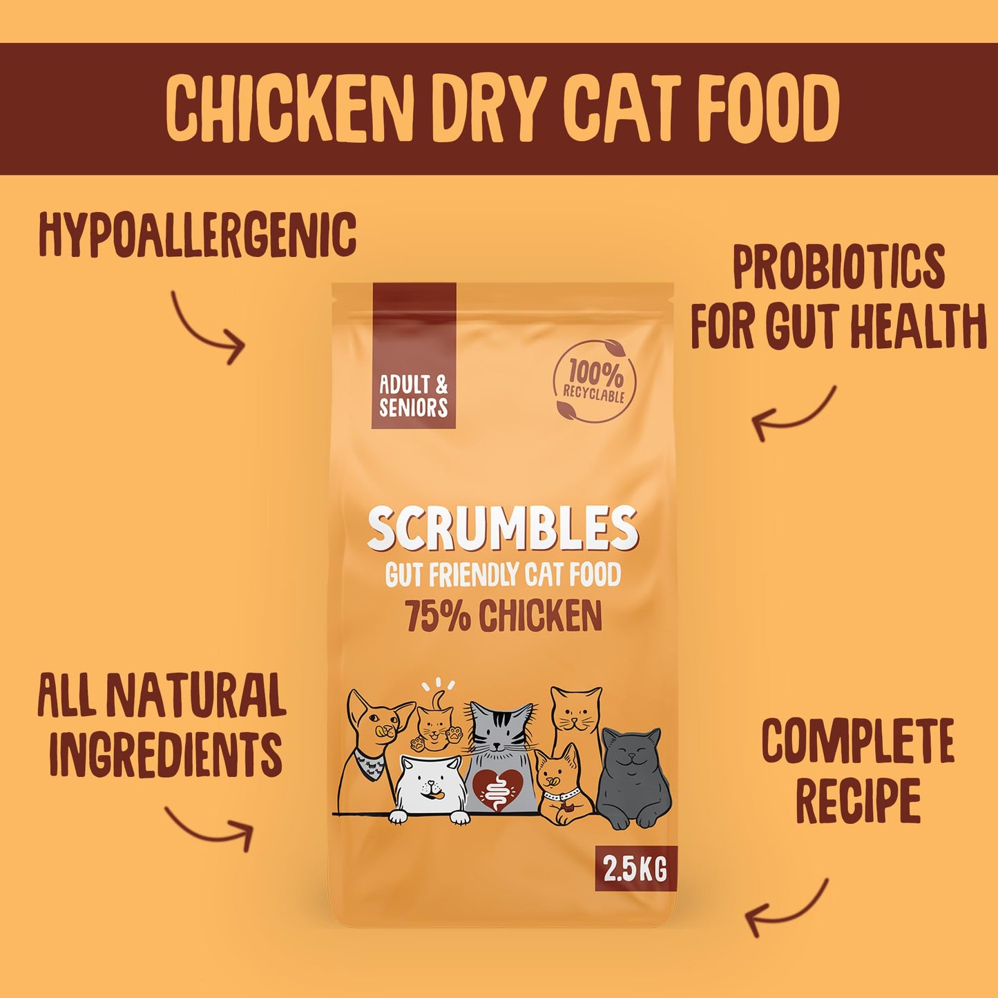 Scrumbles All Natural Dry Cat Food With 75% Chicken and Fresh Salmon, High Protein Food for Adults And Seniors