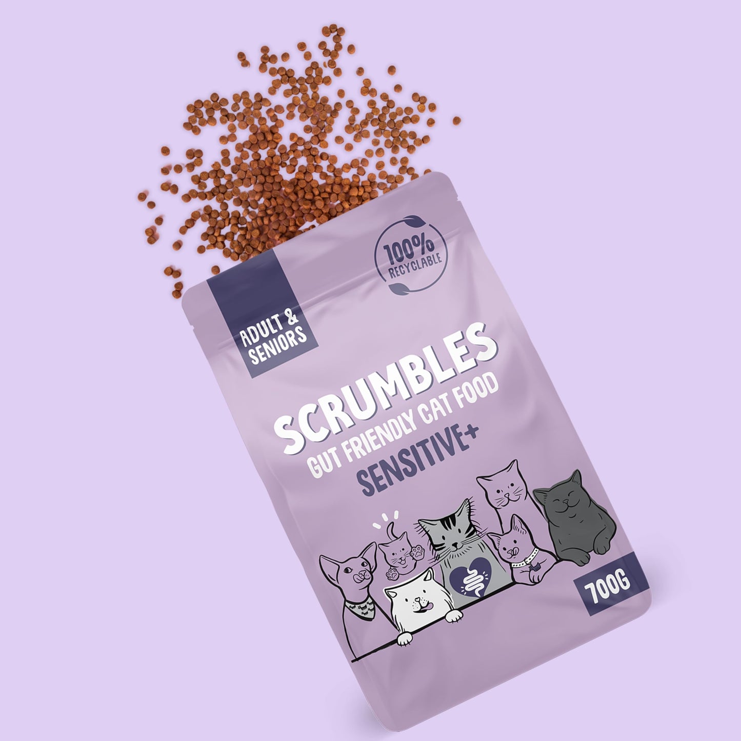 Scrumbles All Natural Dry Cat Food With 75% Chicken and Fresh Salmon, High Protein Food for Adults And Seniors