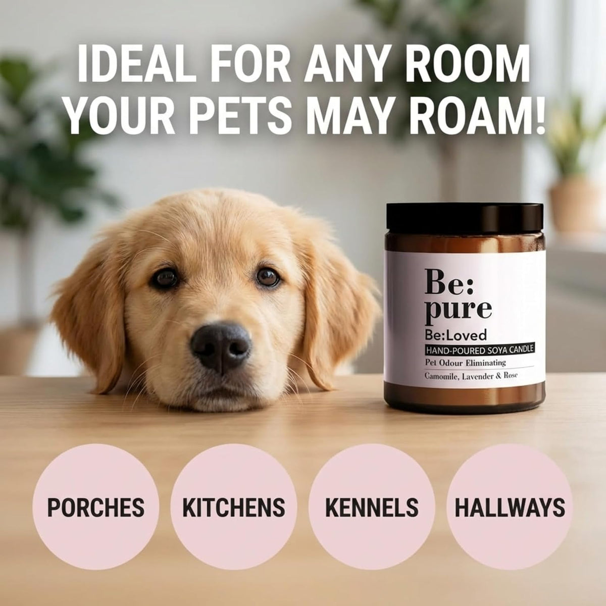 Be:Loved - Be:Pure Pet & Dog Odour Eliminating Scented Candle - Natural Soy & Beeswax with Lavender & Camomile - Soy Candle, Candle Gift - 150ml, 30 Hours Burn Time