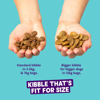 Grain Free Adult Dog Food Dry Kibble