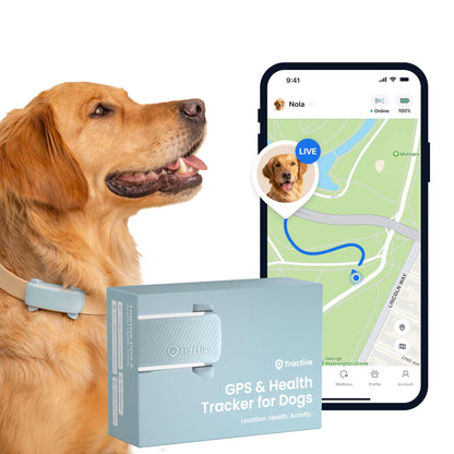 Smart Dog Tracker
