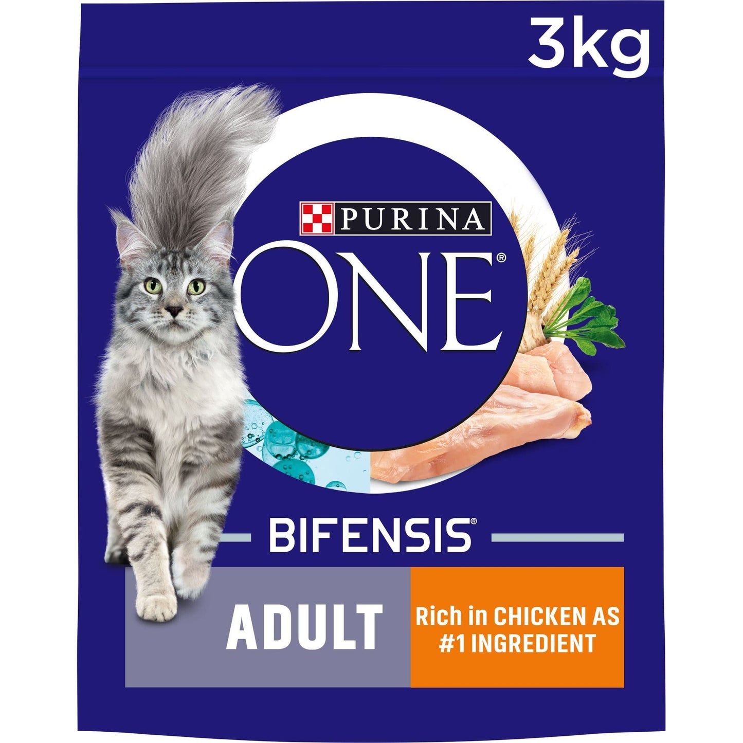 PURINA ONE Dry Cat Food