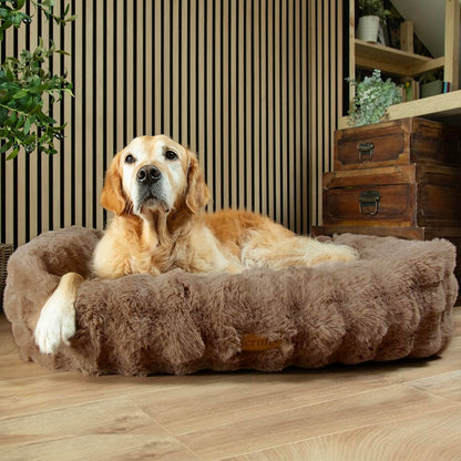 Scruffs Luxury Alpine Box Bed For Dogs or Cats (M)