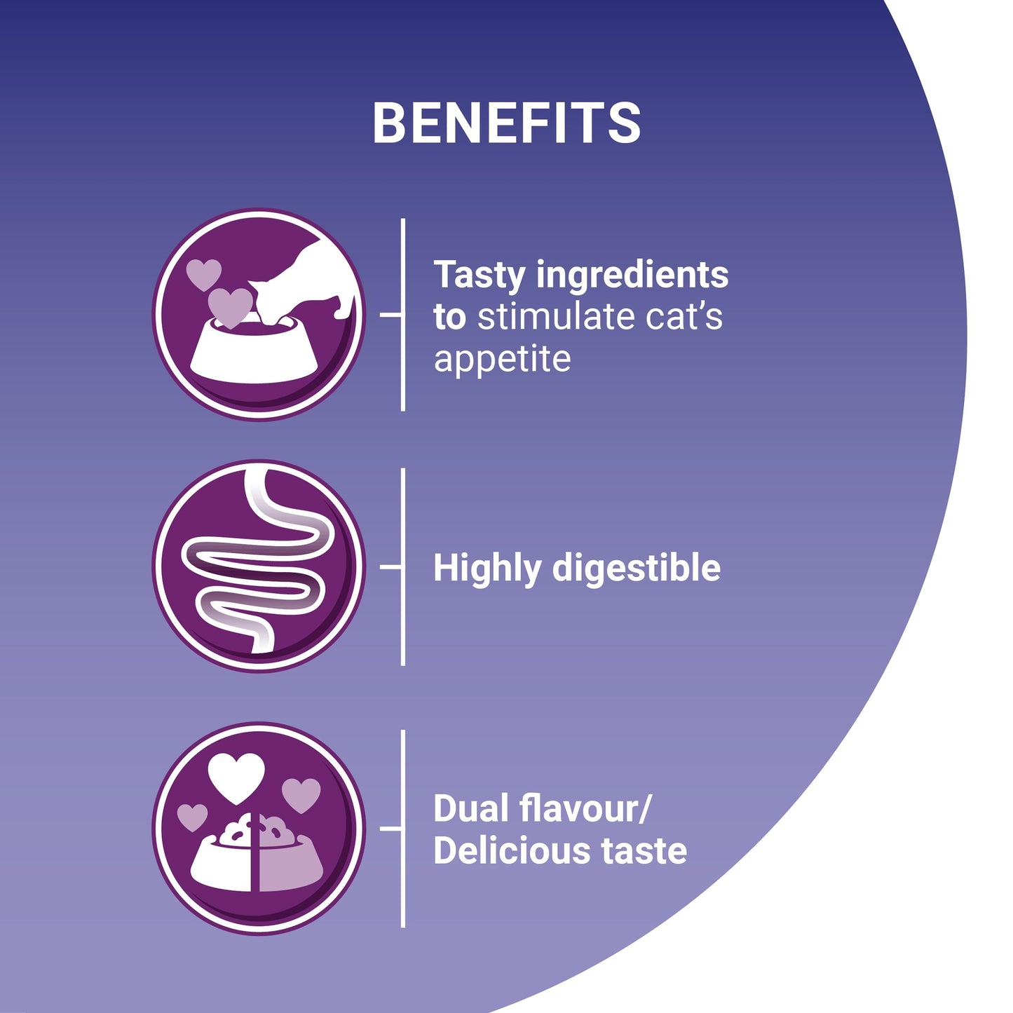 PURINA ONE Adult Cat Food Mini Fillets in Gravy 40 x 85g