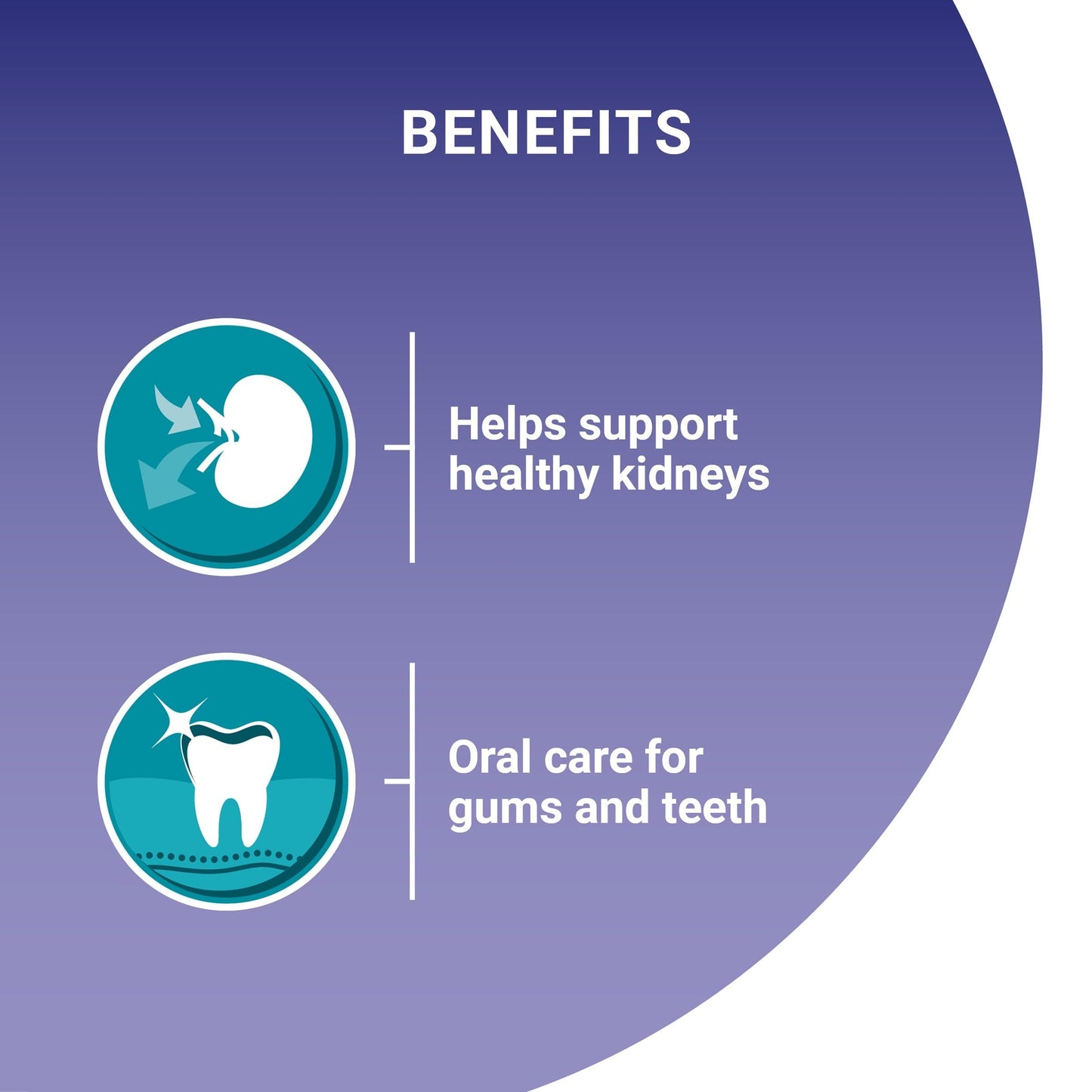 PURINA ONE | Dry Cat Food