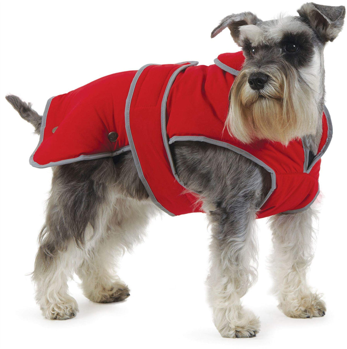 Ancol Muddy Paws All Weather Stormguard Coat . Poppy Red.Size Large ( Length 50cm, up to 79cm girth)