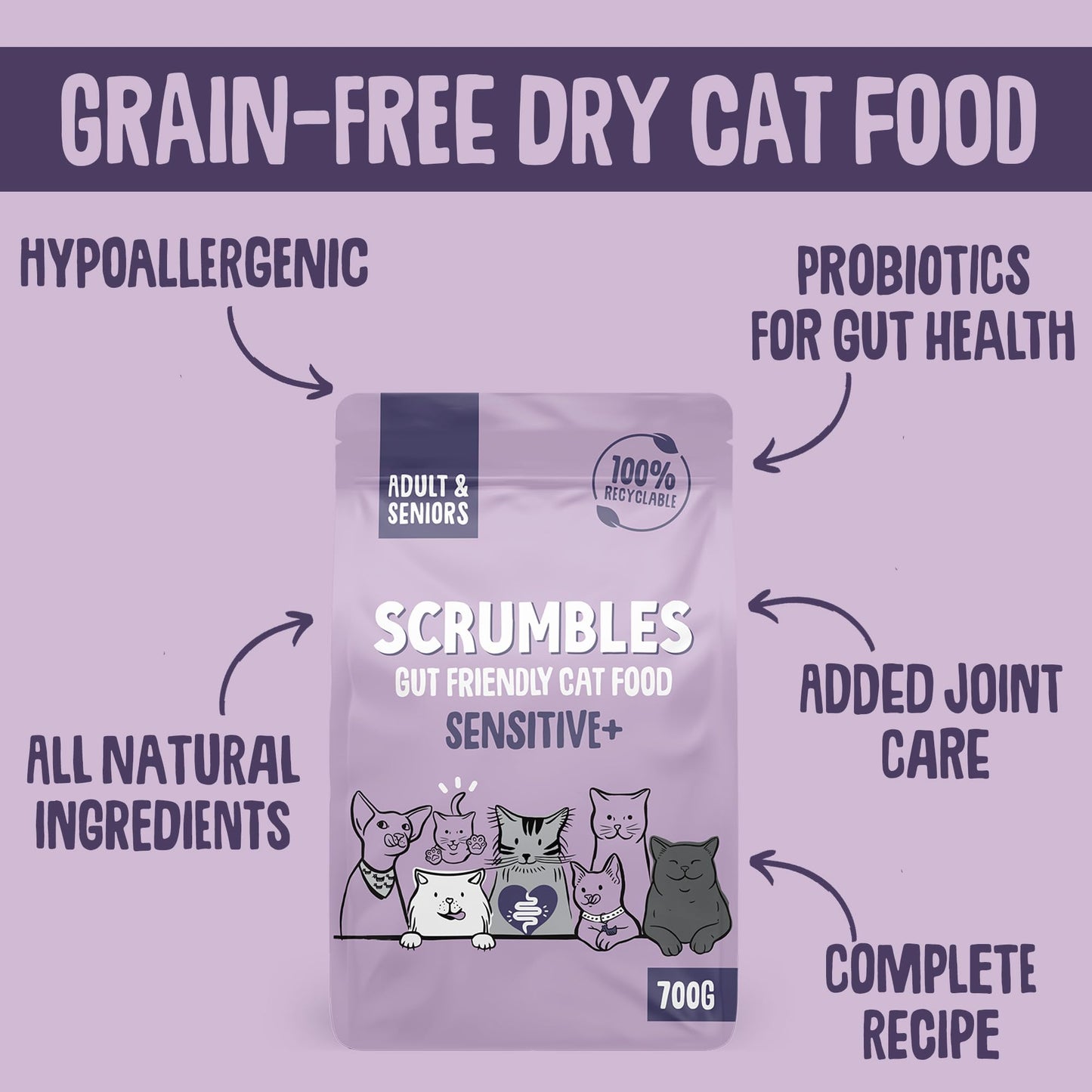 Scrumbles All Natural Dry Cat Food With 75% Chicken and Fresh Salmon, High Protein Food for Adults And Seniors