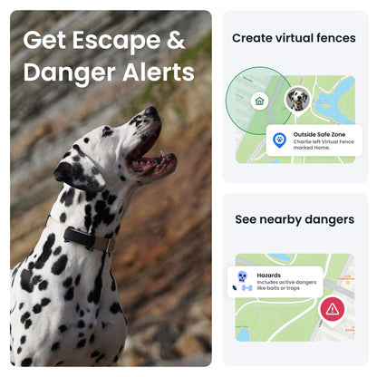 Smart Dog Tracker