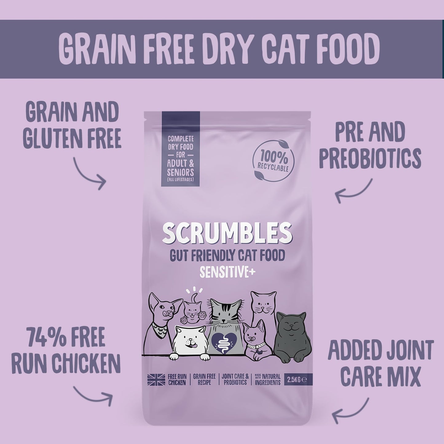 Scrumbles All Natural Dry Cat Food With 75% Chicken and Fresh Salmon, High Protein Food for Adults And Seniors