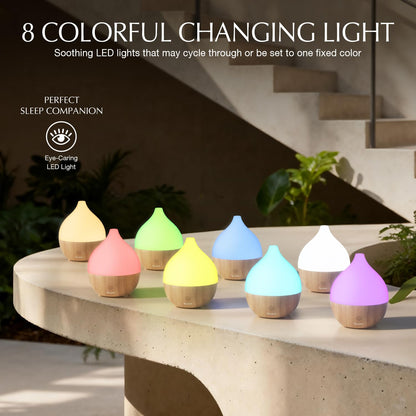 SALKING Essential Oil Diffuser, 100ml Small Aromatherapy Ultrasonic Cool Mist Humidifier with Warm White Lights, Auto Shut-Off Function, for Office Home