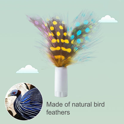 2-in-1 Interactive Automatic Cat Toy