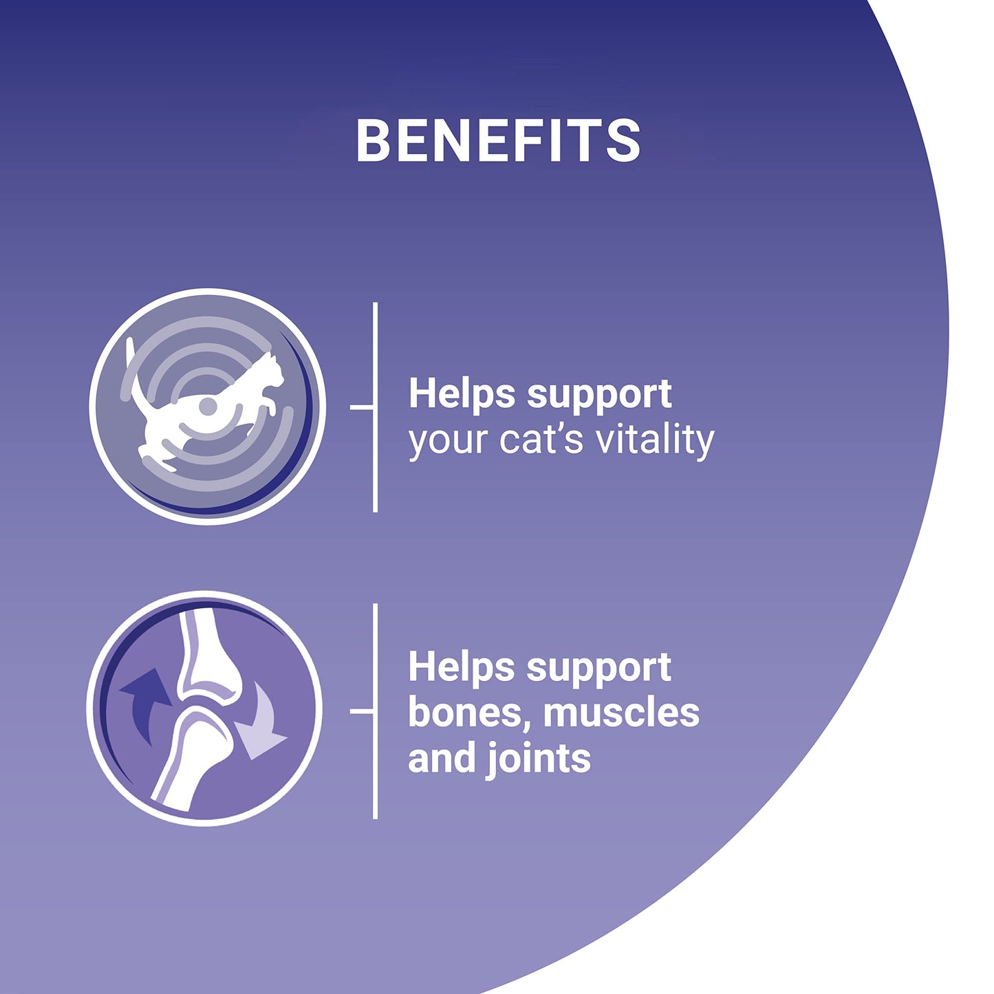 PURINA ONE Adult Cat Food Mini Fillets in Gravy 40 x 85g