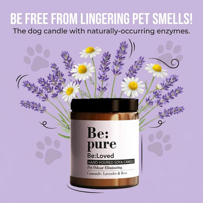 Be:Loved - Be:Pure Pet & Dog Odour Eliminating Scented Candle - Natural Soy & Beeswax with Lavender & Camomile - Soy Candle, Candle Gift - 150ml, 30 Hours Burn Time