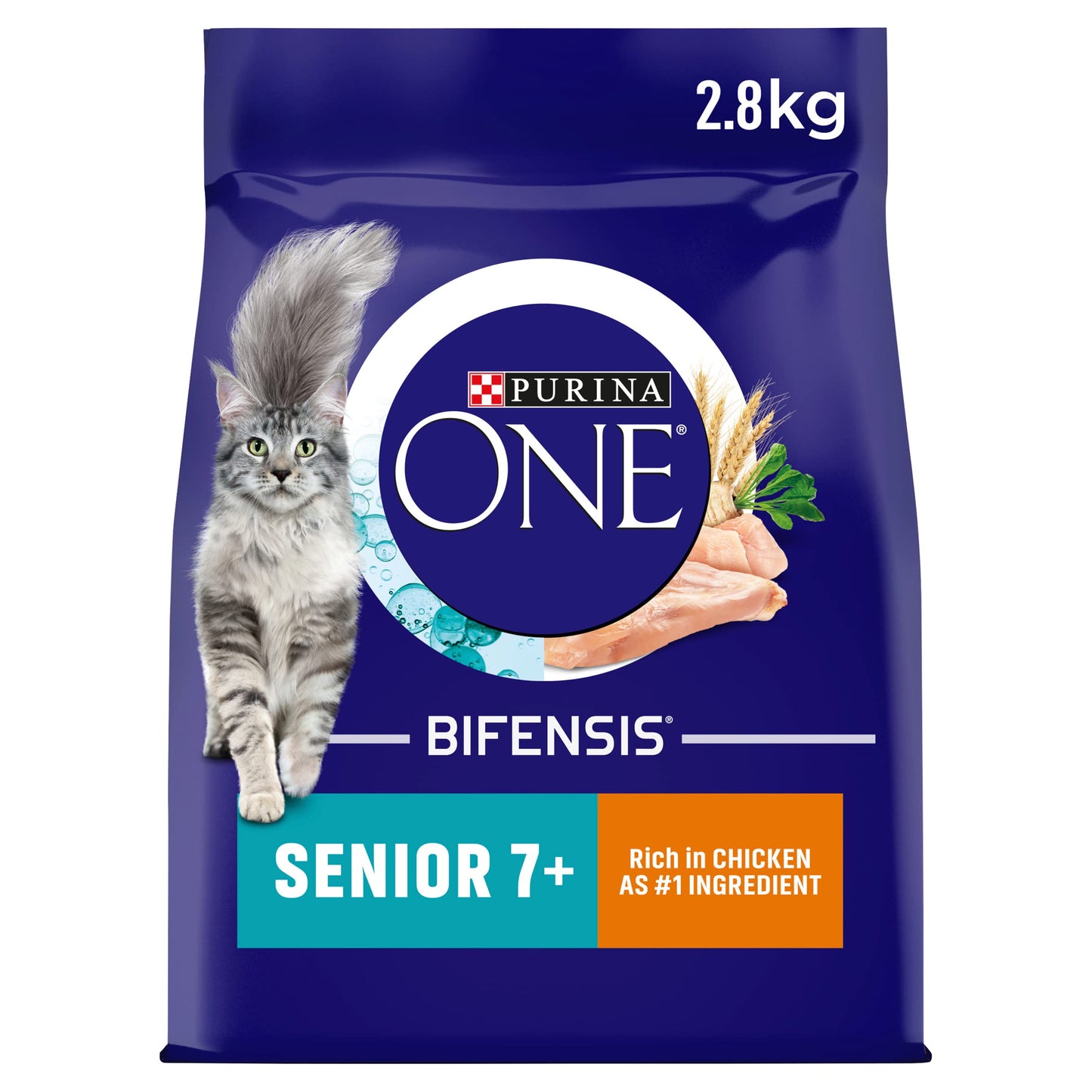 PURINA ONE Dry Cat Food